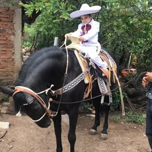 Meet your Posher, Benito